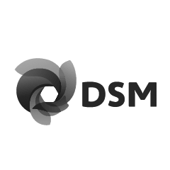 DSM_COATING_RESINS
